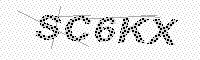 captchaImage