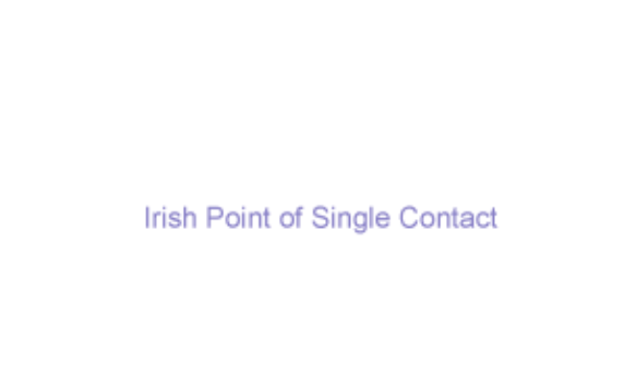 Irish Point of Single Contact