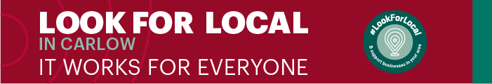 LEO local page Banner 700x120-CARLOW.png