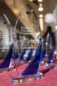 County Final Trophy County Final Trophy