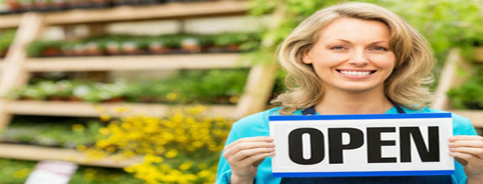 Start Your Own Business