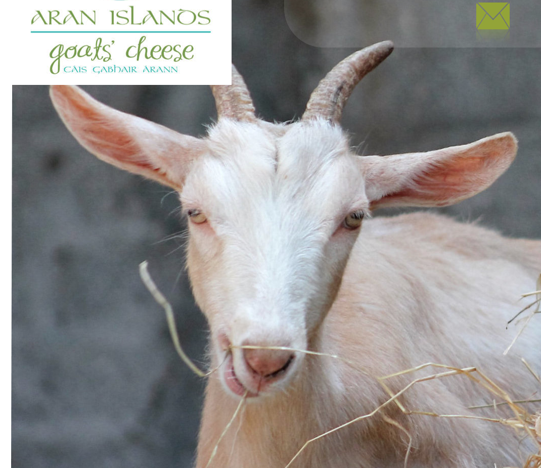 Aran Islands Goats Cheese