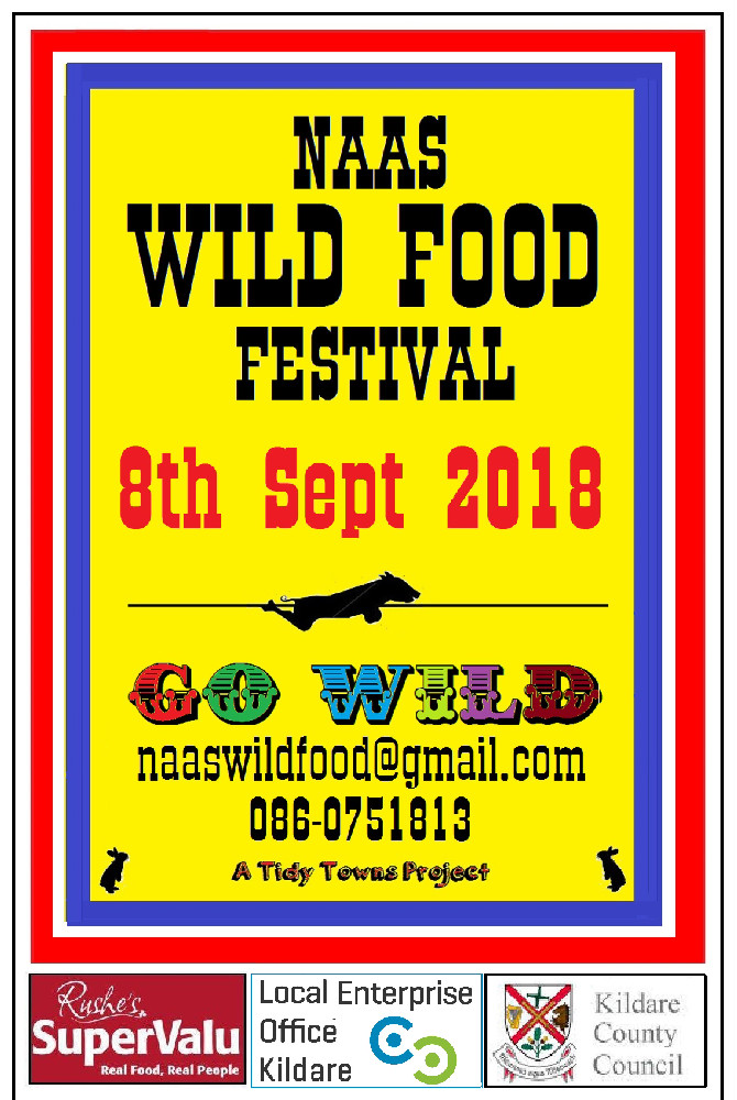 Naas Wild Food Festival 2018