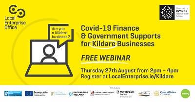 V3 2020 Aug Kildare Webinar Instream 400 V3 2020 Aug Kildare Webinar Instream 400