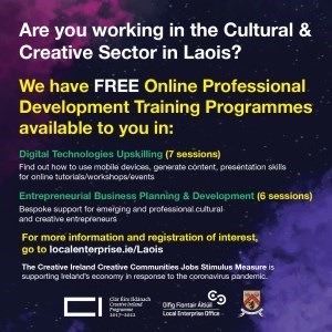 Creative Ireland Laois