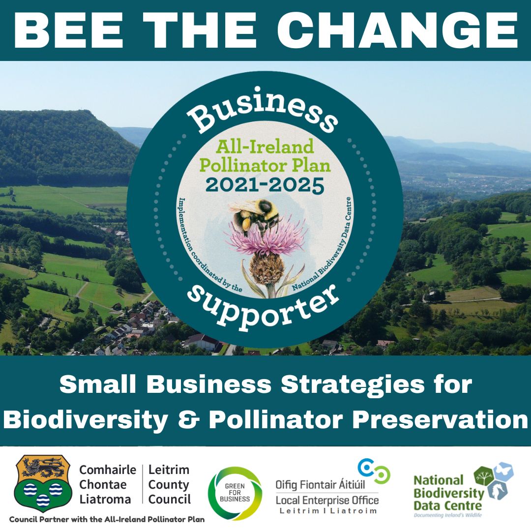 Bee the Change: Small Business Strategies for Biodiversity and ...