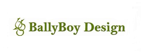 Ballyboy 2