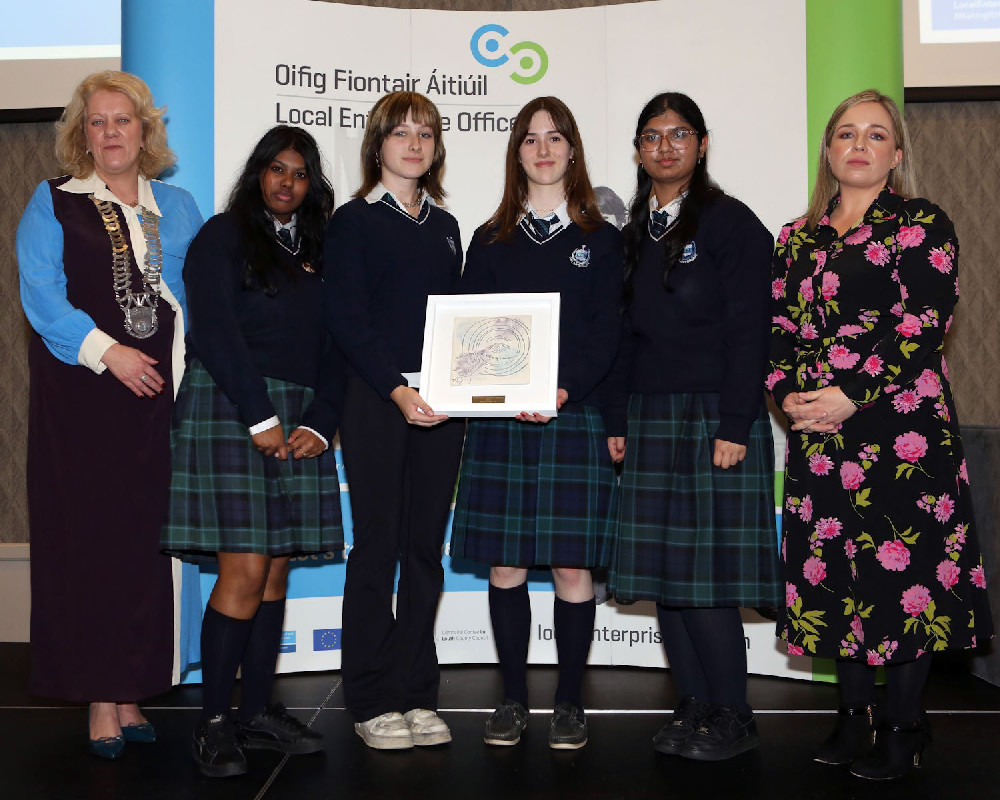 2. Runner Up - Senior Category - Our Ladys College - Drogheda