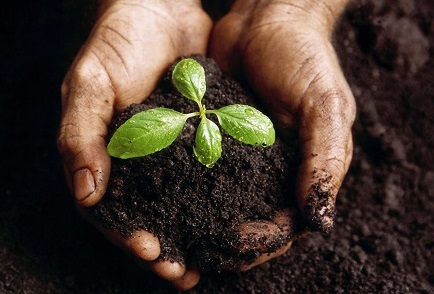 Mayo LEO Start Your Own Business