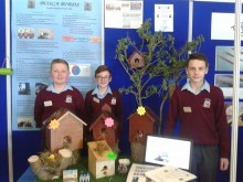 BoscaBirds BoscaBirds