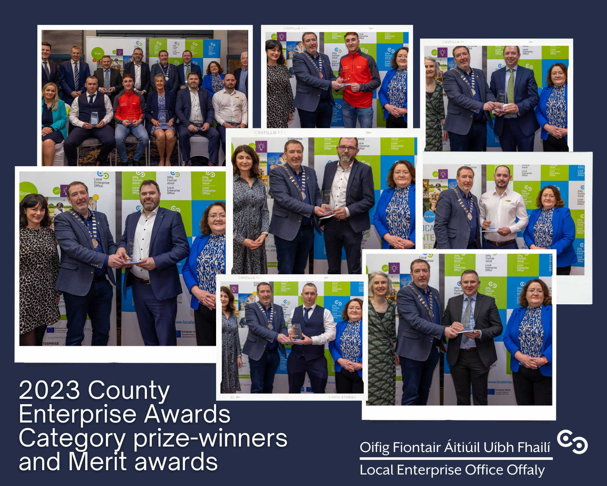 County Enterprise Awards 2023 Merit winners