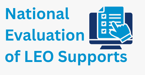 National Evaluation of LEO Supports