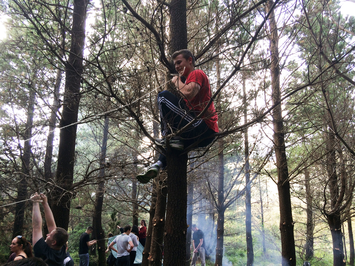 delphi-066 delphi-066