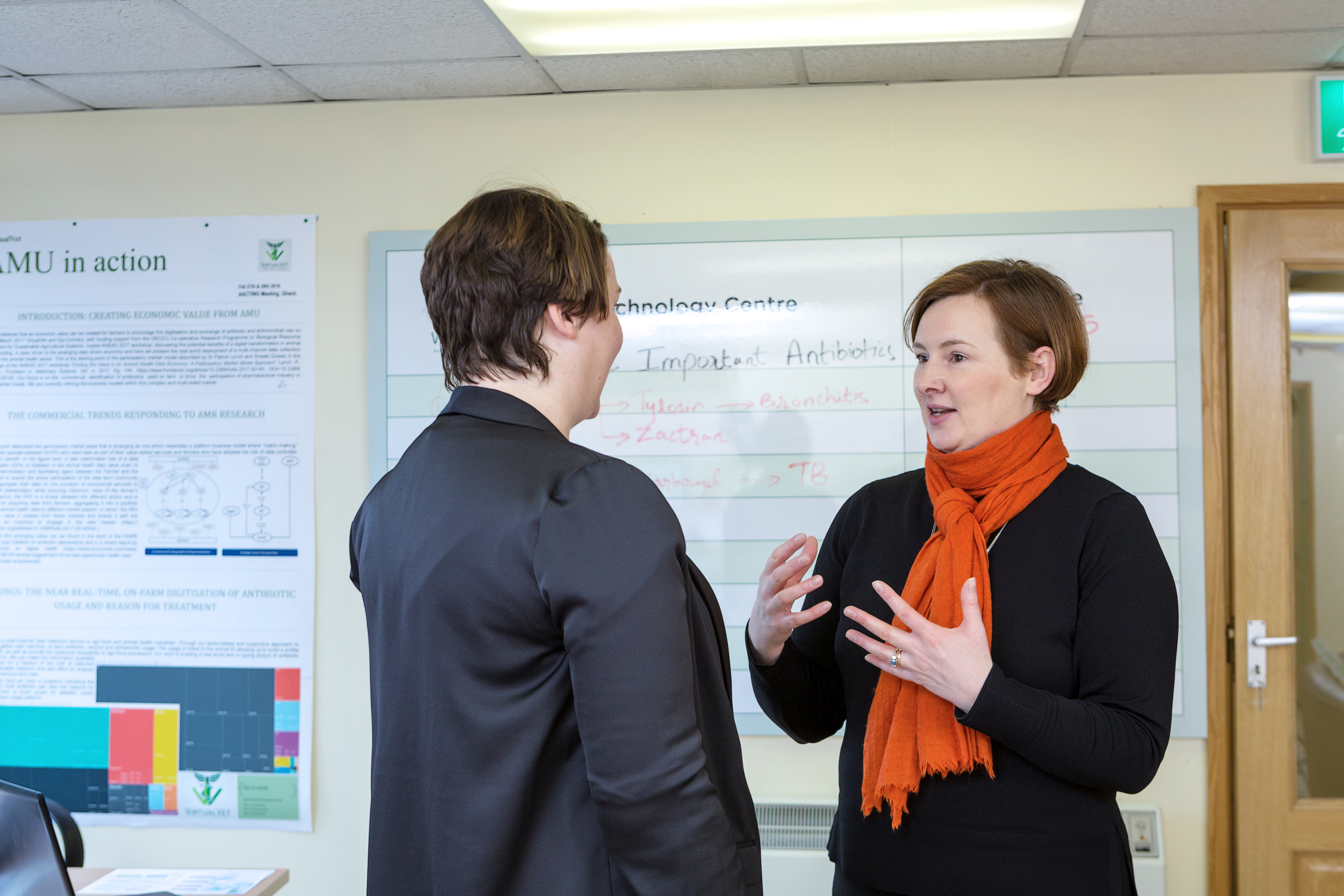 Virtual Vet - Case Study2