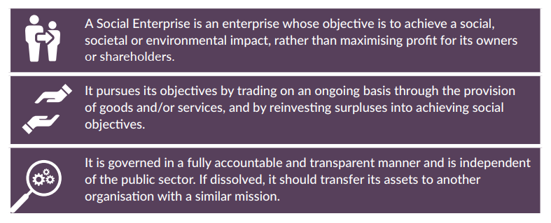 Social Enterprise Definition Social Enterprise Definition