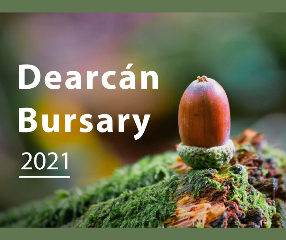 Dearcán bursary