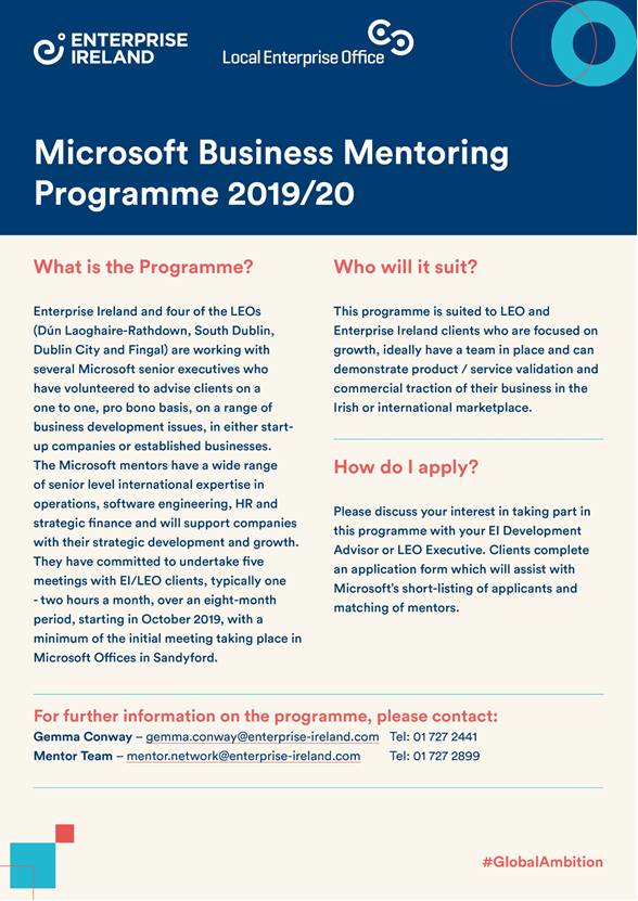 Microsoft Business Mentoring